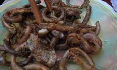 Canh ngẩu pín tráng dương