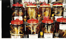 Rượu thuốc bổ dương cường tinh