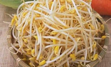 Giá đỗ - Món rau lý tưởng làm đẹp dáng
