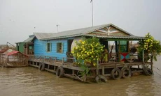 Người Việt trên Biển Hồ - Như chim trời, cá nước