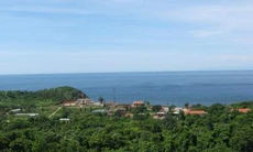 Cồn cỏ mùa hoa phong ba