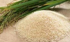 Bệnh tê phù do thiếu vitamin B1