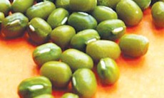 Đậu xanh: Khắc tinh của bệnh tật!