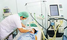 Phụ nữ ngành y giỏi việc nước, đảm việc nhà