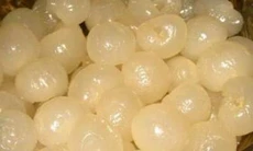 Thực phẩm khắc phục hội chứng tắt dục ở quý ông