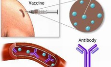 Cảnh giác với bệnh viêm gan virut A