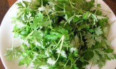 Ngải cứu: Vị thuốc quý cho quý bà quý cô