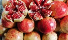 Quả lựu ngừa ung thư vú