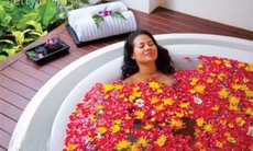 Dùng dược dục liệu pháp trị ngứa