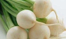 Củ cải - Nhân sâm mùa đông