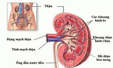 Biến chứng thận ở người ĐTĐ: Nhận biết và điều trị