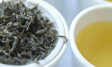 Bài thuốc giải rượu theo y học cổ truyền