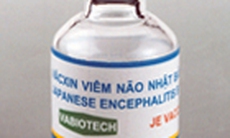Hiệu quả to lớn từ vaccin viêm não Nhật Bản