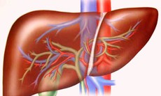 Viêm gan mạn tính tự miễn
