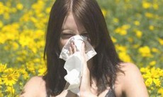 Điểm mặt “bệnh mùa xuân” và cách phòng tránh