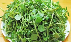 Lợi ích chữa bệnh từ cải xoong