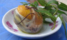 Ăn trứng vịt lộn sao cho bổ?