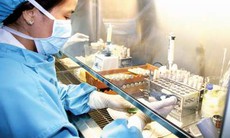 Hợp tác để tiếp cận mọi bệnh nhân lao