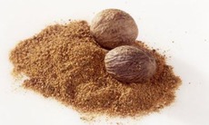 Nhục đậu khấu trị chứng “lạnh bụng”