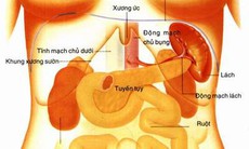 Hãy cẩn thận khi lách to