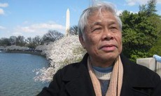 Hội hoa anh đào