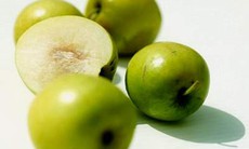 Cây táo ta làm thuốc
