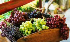 Thực phẩm giúp giảm acid uric máu