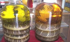 Cách ngâm rượu rắn
