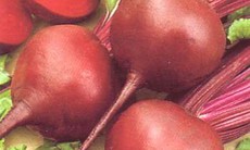 Củ dền dễ gây ngộ độc cho trẻ