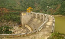 Dự án thủy điện “ăn” đất rừng