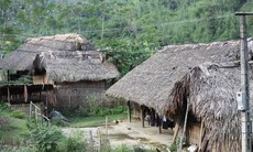 Bí ẩn giữa đại ngàn