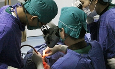 Đề án 1816: Nâng cao tính điều phối và giám sát