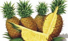 Phòng ngộ độc Dứa