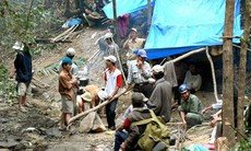 Quảng Nam: Nỗi khổ của người dân trúng kỳ nam 