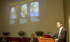 Nobel Y học năm 2011 vinh danh các phát hiện miễn dịch 