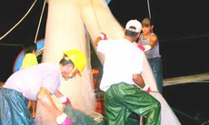 Mưu sinh trên biển