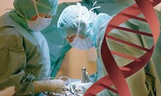 Thành tựu y học thế giới thập kỷ qua