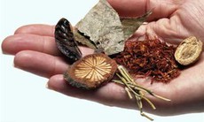 Vì sao dùng thuốc Đông y lại ngộ độc chì?