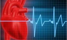 Tim đập nhanh có nguy hiểm?