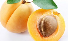 Quả mơ và công dụng đối với sức khỏe