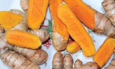 Hoạt chất curcumin trong cây nghệ vàng 