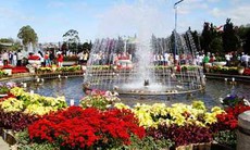  Huy động 8 cơ sở y tế phục vụ Festival hoa Đà Lạt 2012