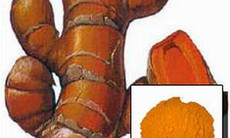Thuốc từ củ nghệ