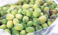 Món ăn thuốc từ hạt sen