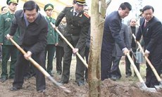 Chủ tịch nước phát động Tết trồng cây