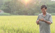 Những bộ phim truyền hình gửi gắm ước mơ đại chúng