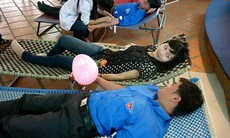 50 cặp tình nhân hiến máu tình nguyện tại Thung lũng Tình Yêu