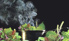 Nồi lá xông trị cảm cúm