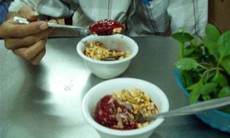 Nguy kịch vì nhiễm cúm A/H5 do ăn tiết canh vịt
