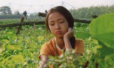 12 phim điện ảnh tranh giải Cánh Diều Vàng